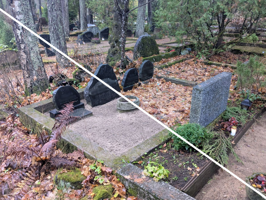 Ühekordne hauaplatsi hooldus – puhastamine ja korrastamine
